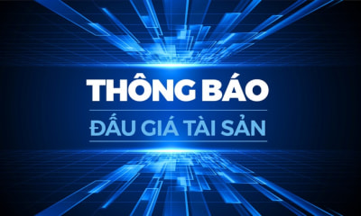 THÔNG BÁO LỰA CHỌN ĐƠN VỊ TỔ CHỨC ĐẤU GIÁ TÀI SẢN